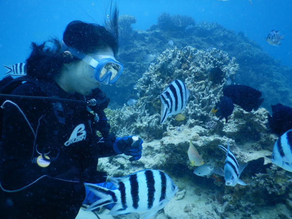 Marine & Guest House Chura Motobu Exterior foto
